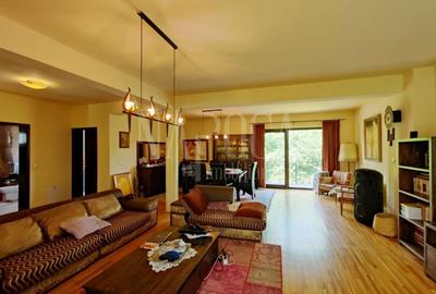 Casă individuală cu 9 camere în Andrei Mureșanu