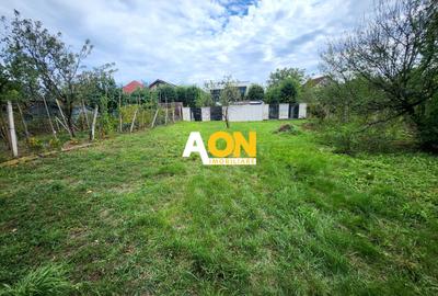 De vanzare casa 3 camere, 719mp teren, Cetate - 16