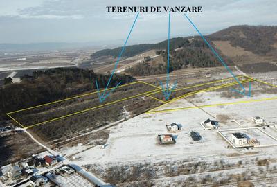 Terenuri in Livada Noua Sanpetru langa Dealul Lempes - 8