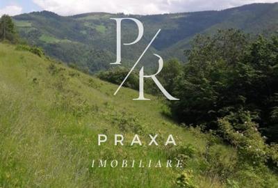 Teren de vanzare 10.000 mp/ parcelabil, cu utiitati, 4 euro/ mp! Maguri Racatau! - 7