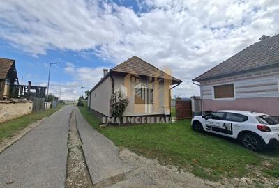 Casă individuală cu 2 camere în Ileni