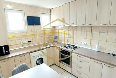 Oferim apartament cu 1 camera, langa Iulius Mall, centrala proprie pe gaz - 14