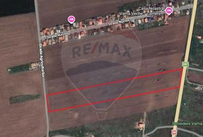 Teren intravilan 3 ha Vama Veche - 1