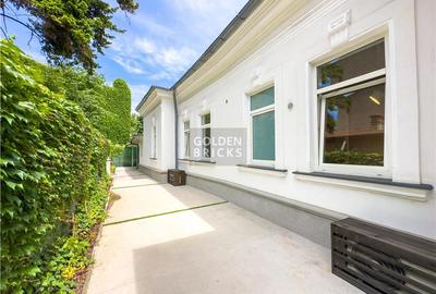 Vilă elegantă | Unirii Udriste | Piața Sf. Ștefan | Curte pr - 21