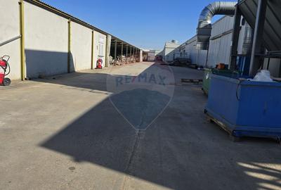 DE VANZARE Hala | 17.230mp | 4MW | 3ha Teren | Sebes | A1 - 6