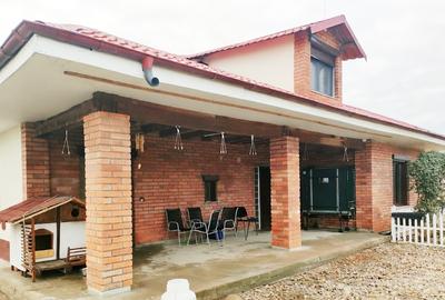 Casă solidă cu potențial uriaș – Zona Laminorului - 1