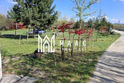 Teren Intravilan | 1150 mp | Săliște - 3