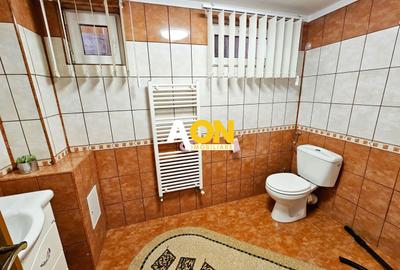 Casa 4 camere, S+P+M, mobilata, utilata, 392 mp teren,  Alba - Micesti - 18