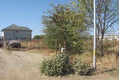 Prelungirea Ghencea Iernii - 7