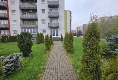 Spatiu comercial 160 mp -700mp gradina -24 paparcari private in Avantgarden 3 - 22