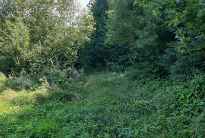 OPORTUNITATE: 4.400 mp la marginea PADURII, langa VILE NOI, toate UTILITATILE - 7