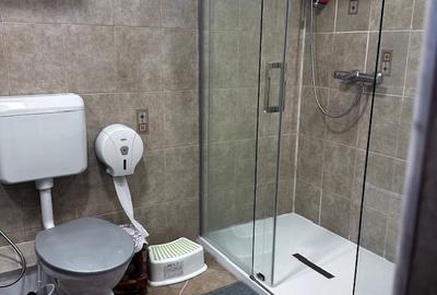 Vanzare casa individuala  =Subsol+parter+1 E+ Pod (mansarda) , - 14