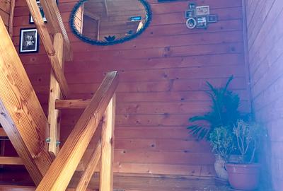 Inchiriem cabana in Calimanesti (Seaca), cu ponton la Olt, gradina - 10