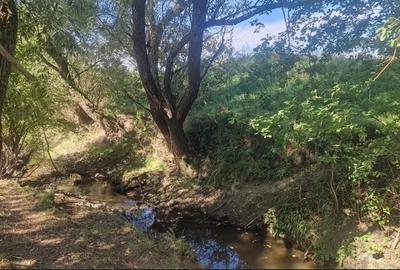 Casa Individuală 96 mp| teren 2.200 mp| zona Colibi - 6