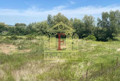 Teren agricol extravilan de 11200 mp, în Dealu Doamnei