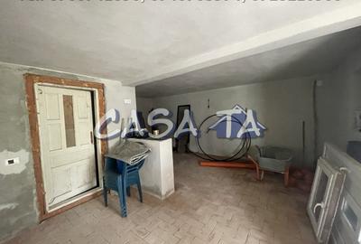 Casa D+P+M, Curtisoara - 14