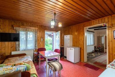 Casa in inima statiunii Covasna, cu gradina, vie si pomi fructiferi - 3