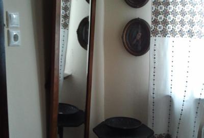 Apartament 132 mp utili si 60mp terasa Bd Lascar Catargiu - 8