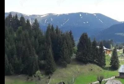 Vânzare teren cu autorizație restaurare cabana emisa - 2