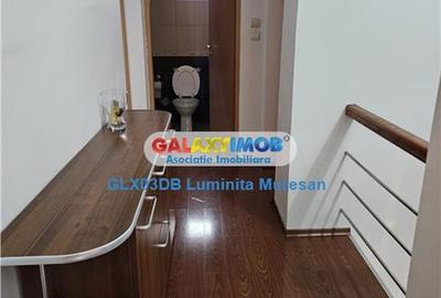 Vanzare casa P + M  5 camere Valea Voievozilor  Razvad - 19