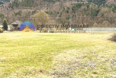 TEREN zona de munte TARCAU - 5