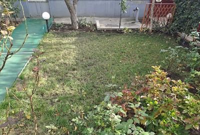 Industriilor Hala Laminor, singur curte, libera - 19