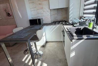 Apartament 2 camere de inchiriat Grozavesti(Novum) - 14