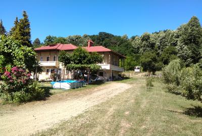 Domeniu+11500 mp teren ideal retreat Wellness pensiune, la marginea padurii - 2