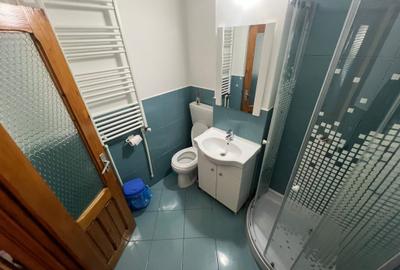 Garsonieră, etaj 4/4, 42 mp, zona B-dul Brăilei – Nelian - 6
