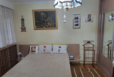 Industriilor Hala Laminor, singur curte, libera - 17