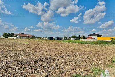 Teren 64 de parcele de vanzare /  Teren de investitie / Frumusani / Calarasi - 4