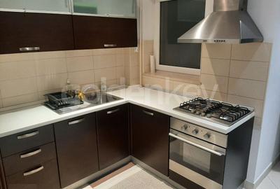 Apartament cu 2 camere de închiriat în zona Herastrau - 5