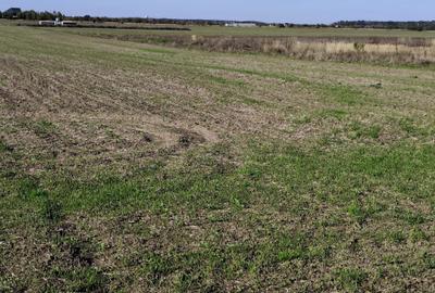 FARA COMISIOANE teren extravilan aproape de padure 5054mp merita vazut - 3