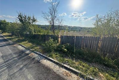 Teren intravilan Barnova Todirel - 6
