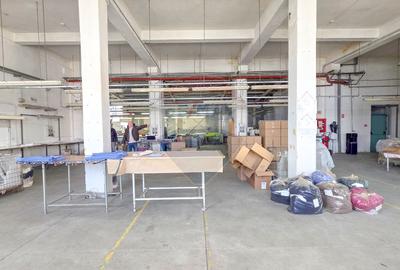 De vanzare spatiu industrial in Turnu Magurele - Teleorman - 39