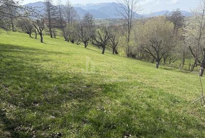 Teren de vânzare în Sohodol, comuna Bran - 4.289 mp - 2