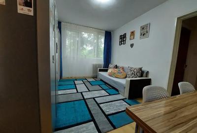 Apartament 3 camere Drumul Taberei - 3
