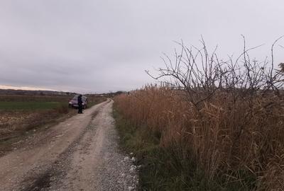 Terenuri in Rachiti - 4