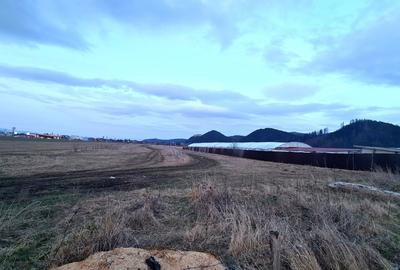 TEREN 1049 mp - INTRAVILAN DE CONSTRUCTII - 14