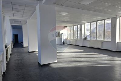 Vila / Pensiune / Camin / Azil seniori, zona superba Moeciu, parcare - 11