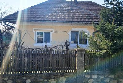Casă individuală cu 3 camere în Polovragi