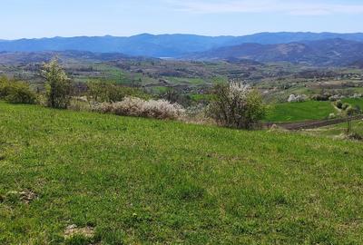 Casă în locație exclusivă, cu vedere spectaculoasă la Dunăre și 6 hectare - 11