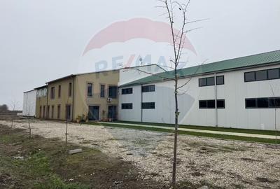 Ferma agro-industrială – 43 ha Adunații Copaceni - 1