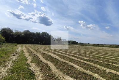 Teren de 11.000 mp cu casă și teren agricol | La 40 km de București | - 1
