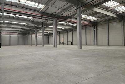 Spatii Industriale - 5000 mp - Logistica - Productie - Depozitare - 5