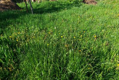 Teren rezidential intre case zona Mihai Eminescu - 5