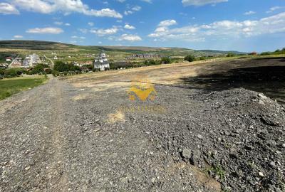 Terenuri de vanzare, Parcelabil, Valea Chintaului, Zona Beta Residence - 7