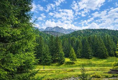 Teren intravilan panoramic 4.600mp,view iconic Piatra Craiului,oportunitate prem - 1