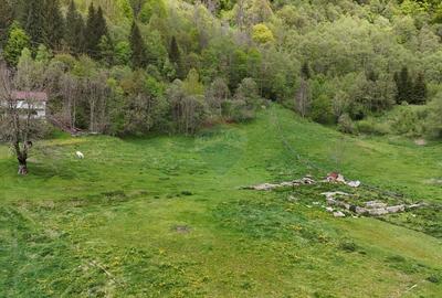 Intravilan | 10.000 mp| Sătic-Rucăr | Acces facil | Potențial excelent - 7