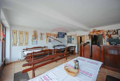 Oportunitate de investiție, Restaurantul Piatra Grăitoare,Vârtop,Bihor - 9